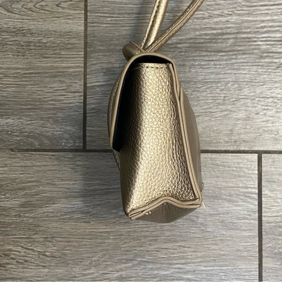 Chantecaille Mini Purse - Picture 2 of 11